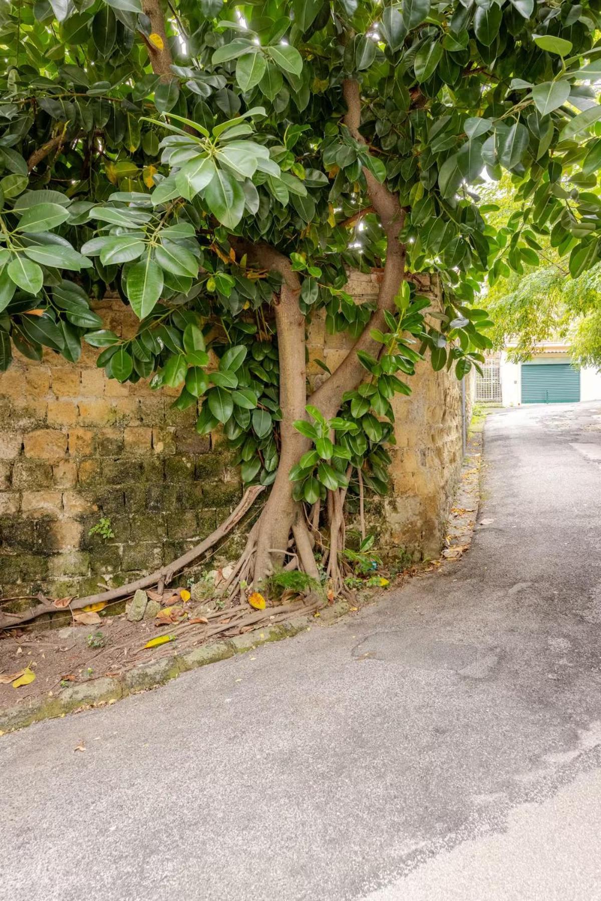 Crispi 74.1 - Apartment Napoli Dış mekan fotoğraf